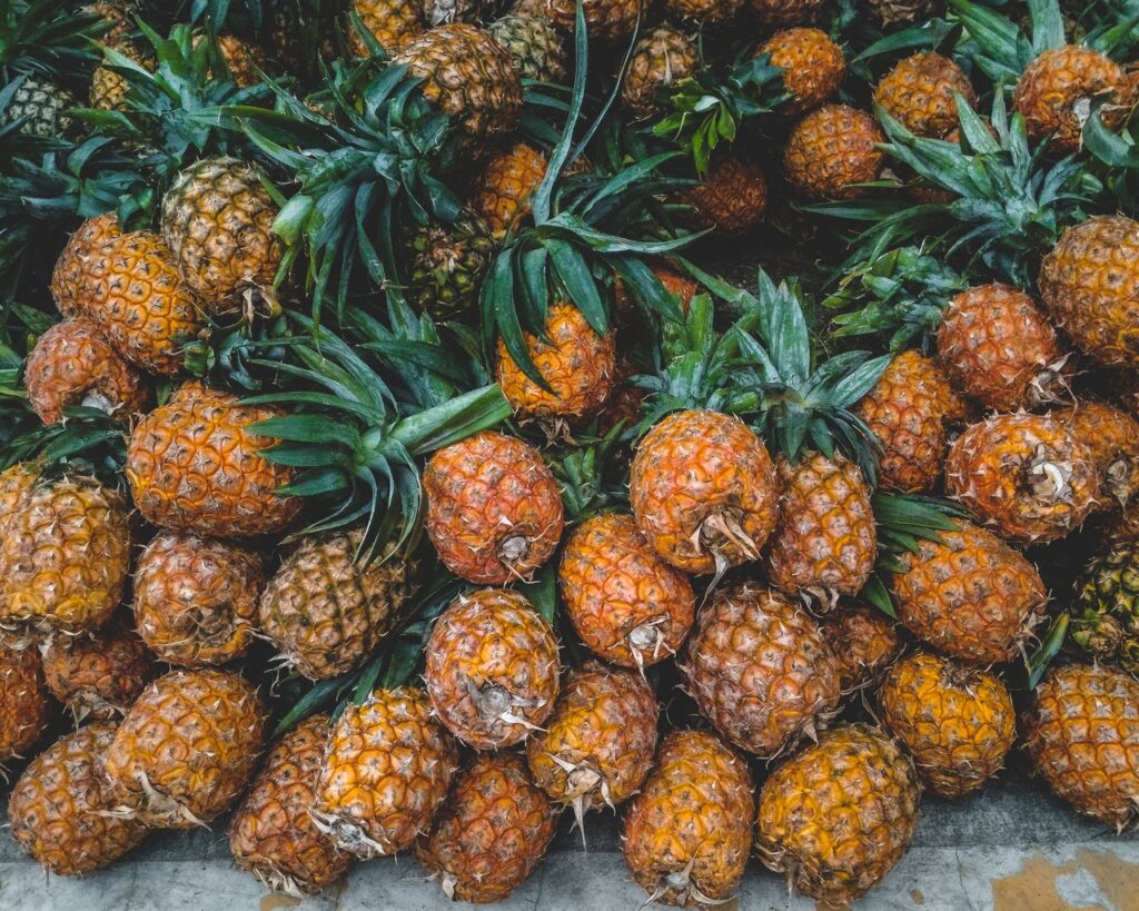 Pineapples take two years to grow.